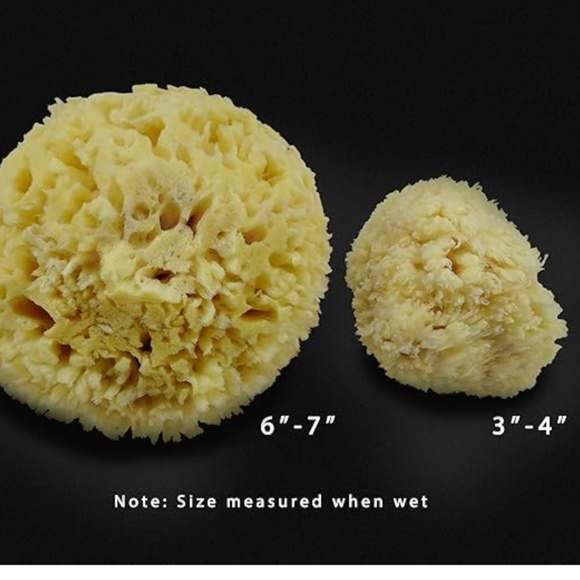 Sea Sponges bath or cosmetics 2pc L + M Constantia Beauty New Package multiple - Picture 6 of 7